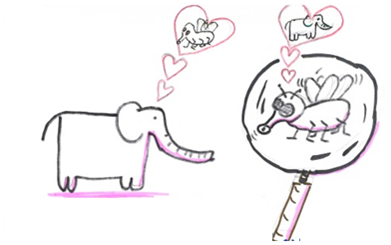 Sharing makes you rich - More is not enough! 4 Bild mit Mücke und Elefant