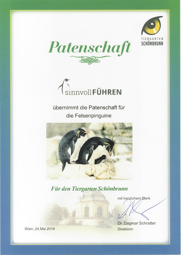 Charly - Our penguin 2