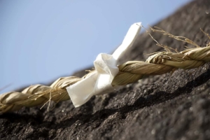 new year's resolutions